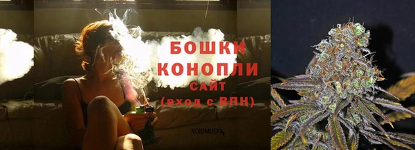 2c-b Белокуриха
