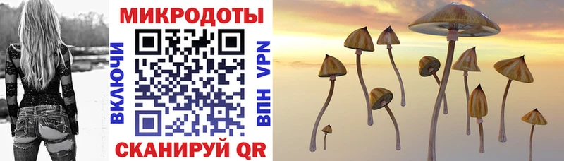 Псилоцибиновые грибы Cubensis  mega как зайти  Верхняя Тура  купить  